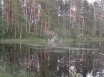 Сплав по реке Пистайоки (Писта)