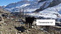 Целебный горный лагерь на Кавказе