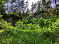 Дети в сердце Алтая