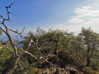 В Сердце Ликийской тропы (Поход вдоль моря, без рюкзаков)