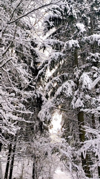 Фото из отзыва участника