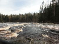 Сплав по реке Шуя на майские