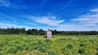 Крыша Карелии (национальный парк Паанаярви)