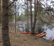 Сплав по реке Поля «Cквозь лес на байдарках»