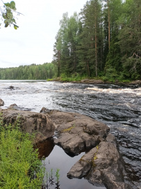 Сплав по реке Шуя