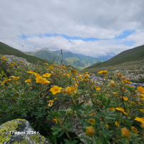 Красоты Безенги