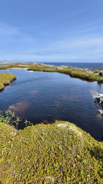 Белое море на морских каяках (байдарках): Карельский берег
