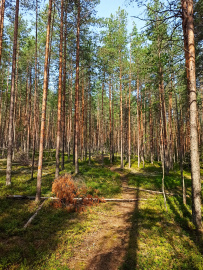 Пеший поход в Каннельярви