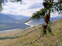 Сплав по реке Катунь