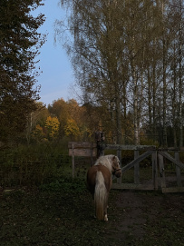 Конный экотур с фотосессией «Танцы с волками» (Тверская область)