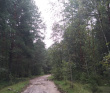 Однодневный поход «На свежий воздух»