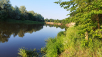Сплав с баней по реке Клязьма
