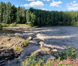 Сплав по реке Шуя