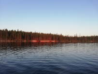 Колвица на морских каяках (байдарках). Путешествие на землю Саамов