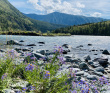 Сплав по реке Катунь