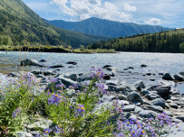 Сплав по реке Катунь