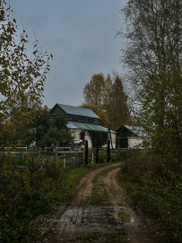 Конный экотур с фотосессией «Танцы с волками» (Тверская область)