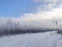 Лыжный поход через Мещёру с ночевкой в тёплом доме