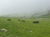 Красоты Безенги