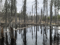 Водопады Ладожской Карелии