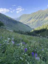 В краю лазоревых озёр!