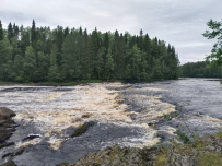 Сплав по реке Шуя