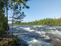 Сплав по реке Умба