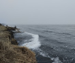 Аметистовый берег Белого моря