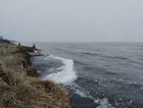 Аметистовый берег Белого моря