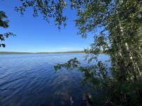Сплав по реке Умба