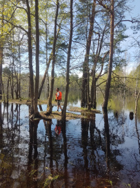 Сплав по реке Пра: через самое сердце Мещеры