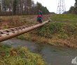 Детский однодневный пеший поход: Сказка Истринского леса