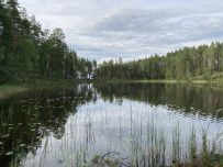 Сплав по реке Пистайоки (Писта)