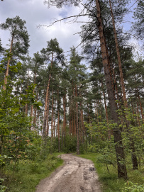 Сплав на сапборде по реке Клязьма (один день)