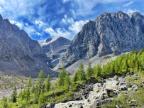 Горный лагерь в Актру (проживание в домиках)
