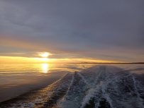Соловецкие острова на морских каяках