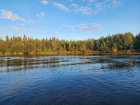 Сплав по реке Кереть и Белое море