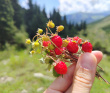 Бич Кэмп Иссык-Куль