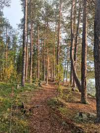 Сплав по реке Умба