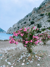 В Сердце Ликийской тропы (Поход вдоль моря, без рюкзаков)