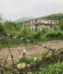 Сокровища Западного Кавказа (по горам в Геленджик)