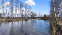 Дикое межсезонье