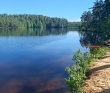 По следам Лыжной Стрелы