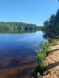 По следам Лыжной Стрелы