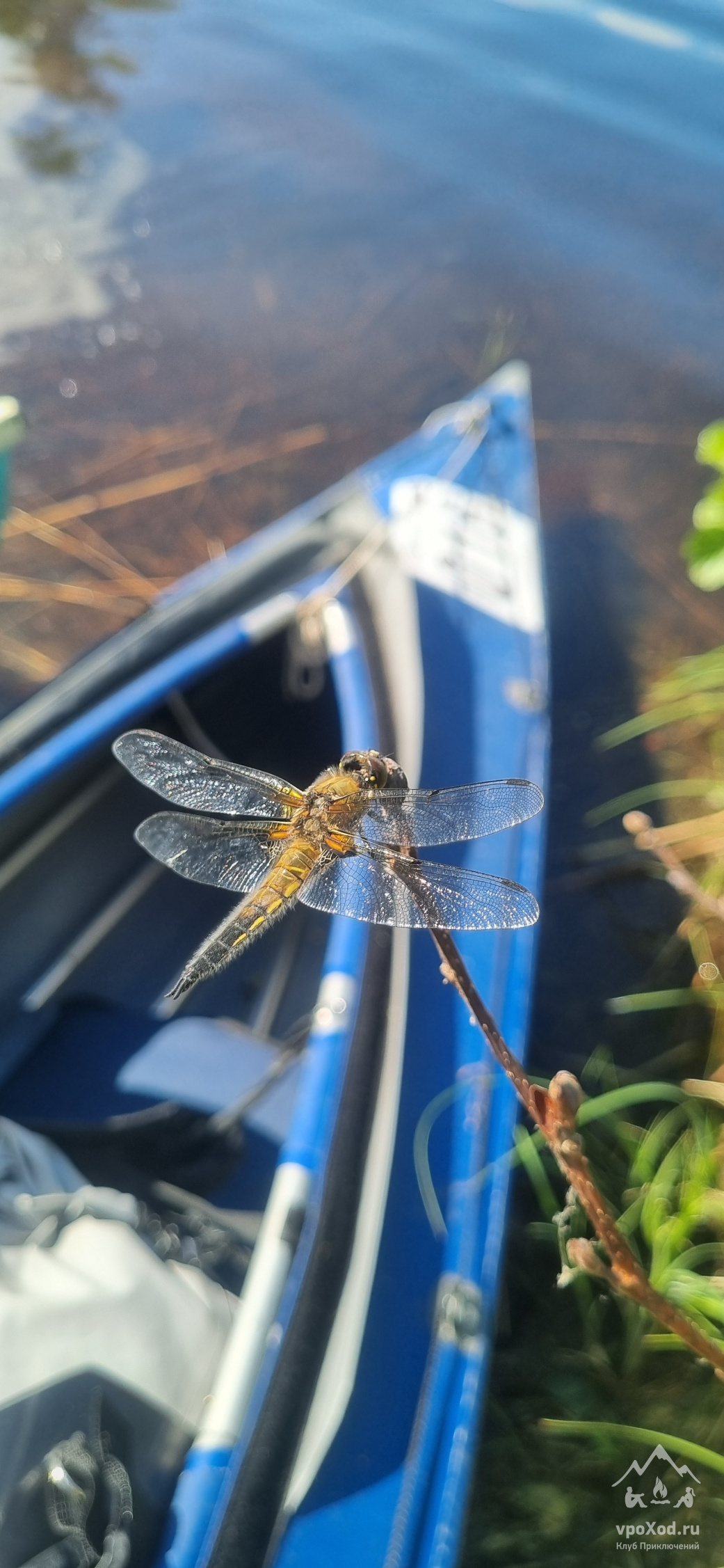 Сюрпризы Вуоксы (выходные на байдарках)