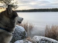 Пеший поход к Зеленодольским озерам