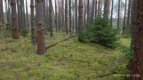 Велопоход из Конаково в Тверь (Тверская область)