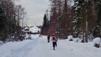 Лыжный поход «Лесная зимняя сказка» (Подмосковье)