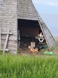 Заповедное Подлеморье — путешествие по восточному берегу Байкала на байдарках
