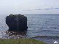 Аметистовый берег Белого моря